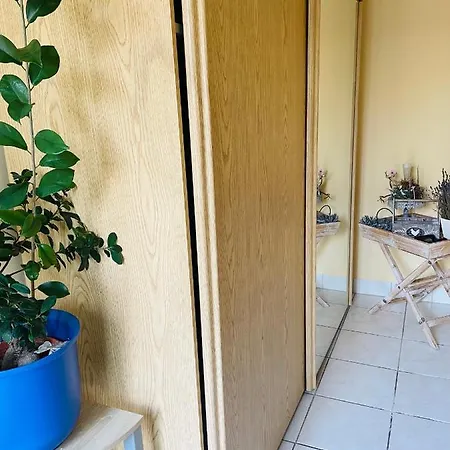 Inn Restaurant Seeblick Direkt Am Schweriner