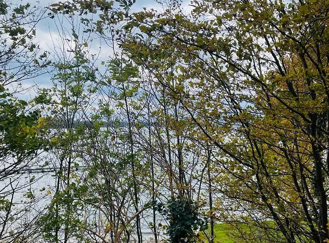 Restaurant Seeblick Direkt Am Schweriner Bad Kleinen